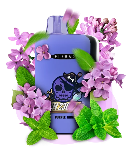 PurpleMint_ES Одноразова Pod-система Elf Bar GH 23000 Purple Mint - Зображення 1